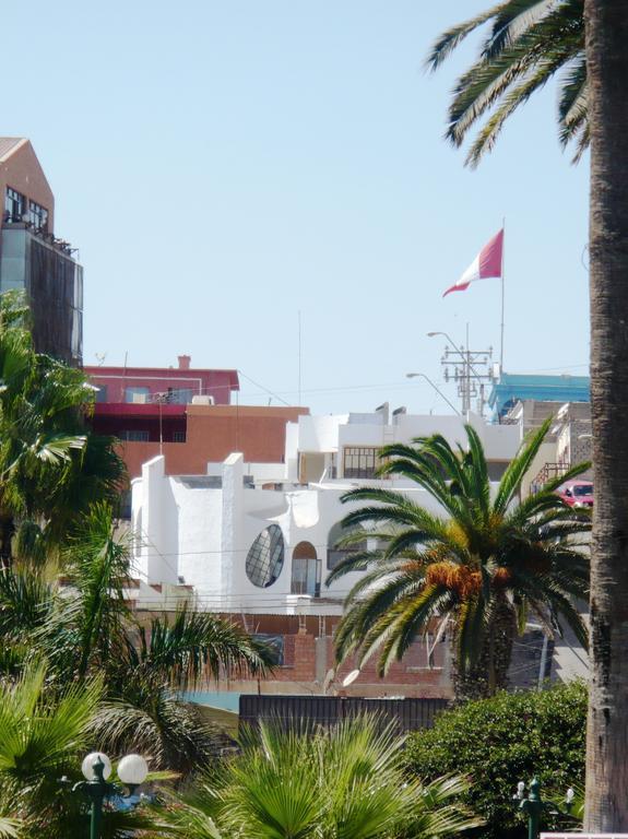 Apartamento Terra Amata